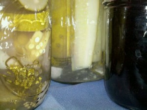 Grape Jelly and Dill Pickles